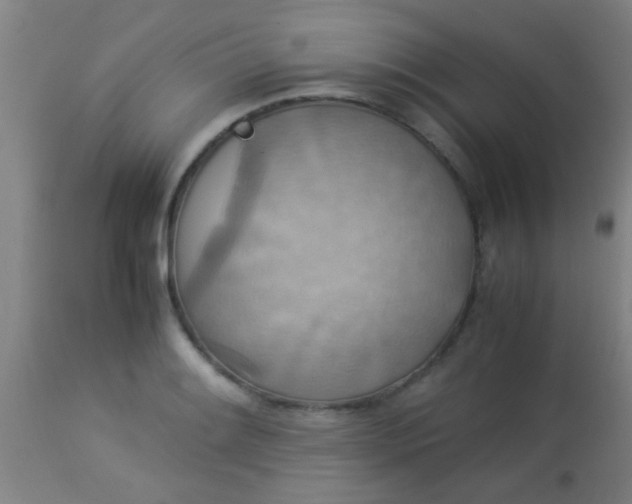 X0000114171084200910221645