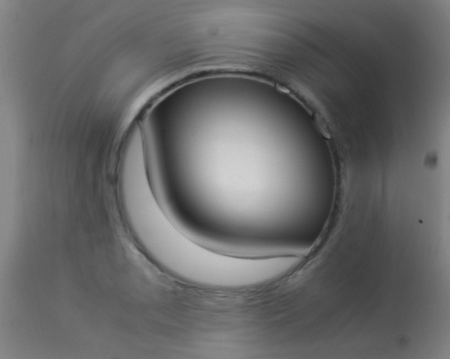 X0000114171085200910221645