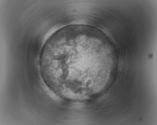 X0000114171086200910221645