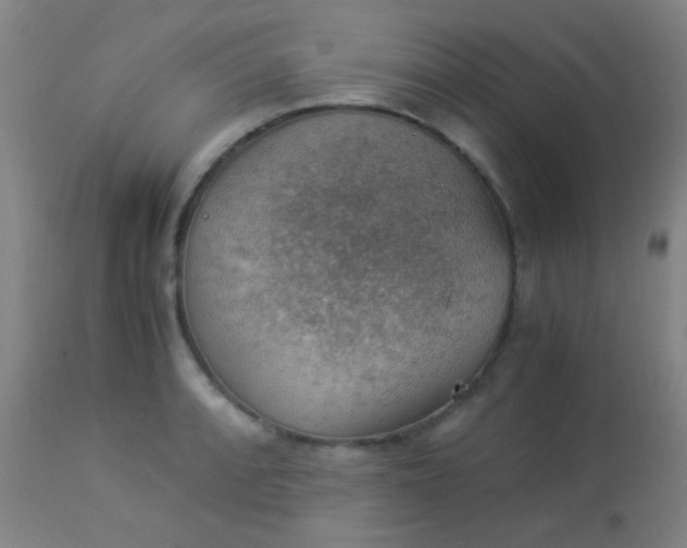 X0000114171088200910221645