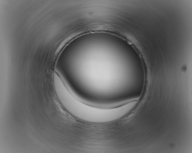 X0000114171089200910221645