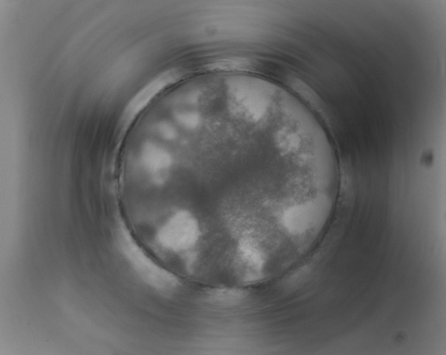 X0000114171090200910221645