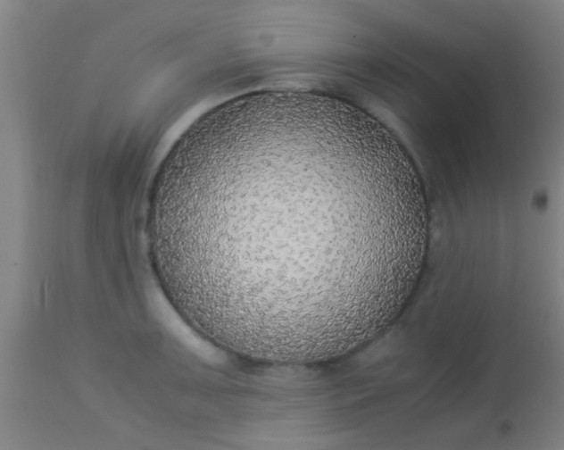 X0000114171091200910221645