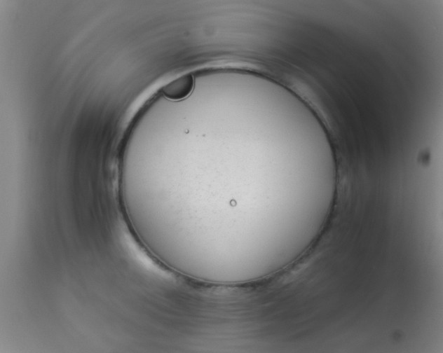 X0000114171092200910221645