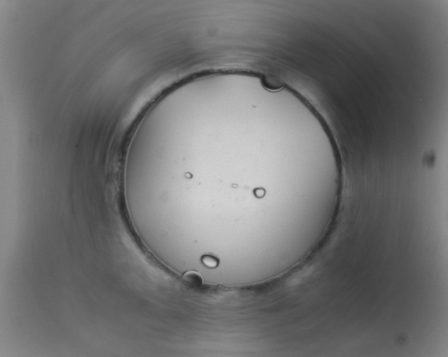 X0000114171093200910221645