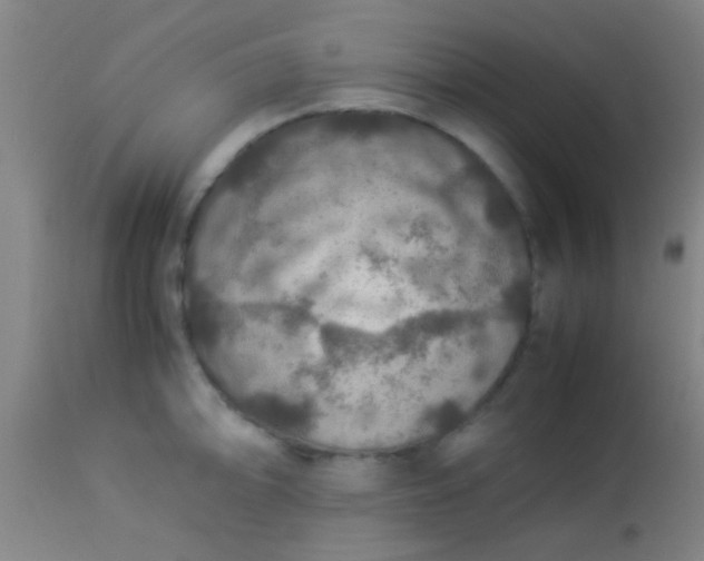 X0000114171094200910221645