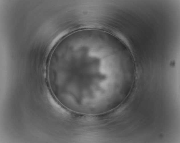 X0000114171095200910221645