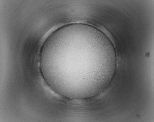 X0000114171096200910221645