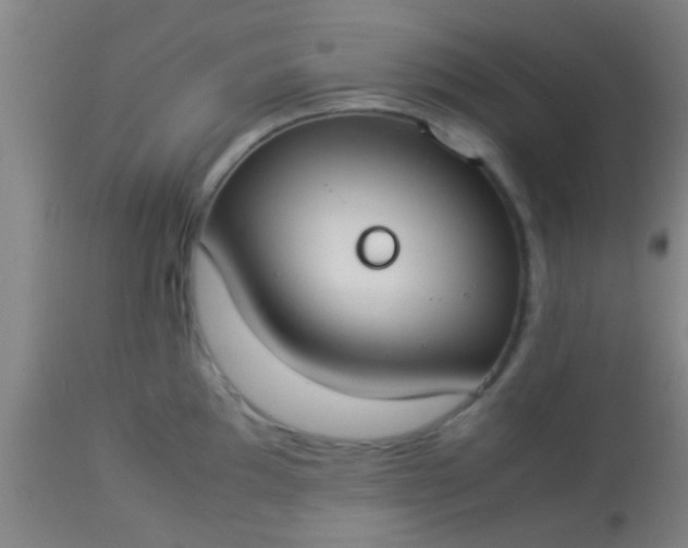 X0000114171097200910221645