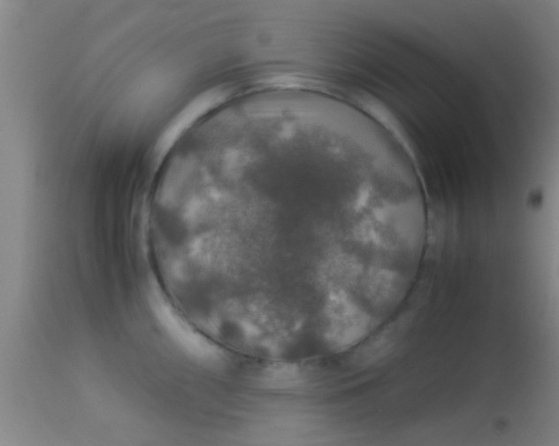 X0000114171098200910221645