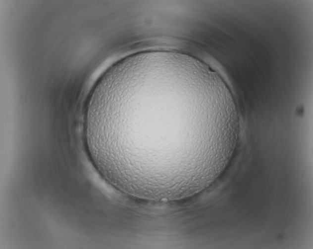 X0000114171099200910221645