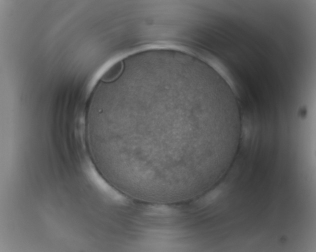 X0000114171100200910221645