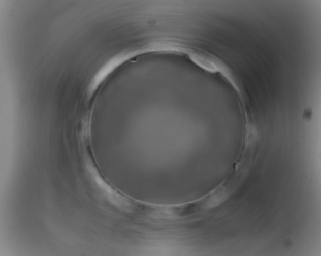 X0000114171101200910221645