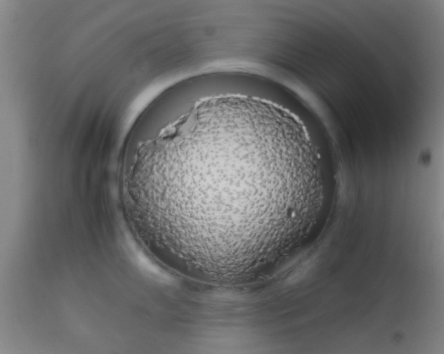 X0000114171102200910221645