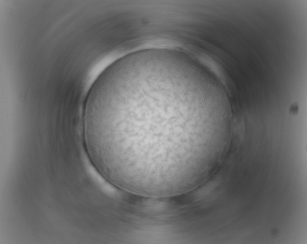 X0000114171103200910221645