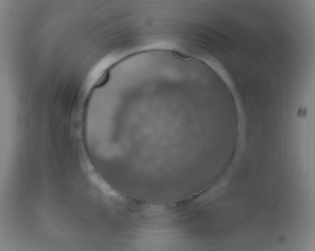 X0000114171104200910221645