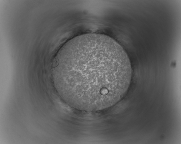 X0000114171105200910221644