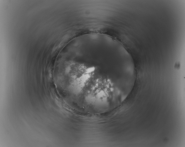 X0000114171106200910221644