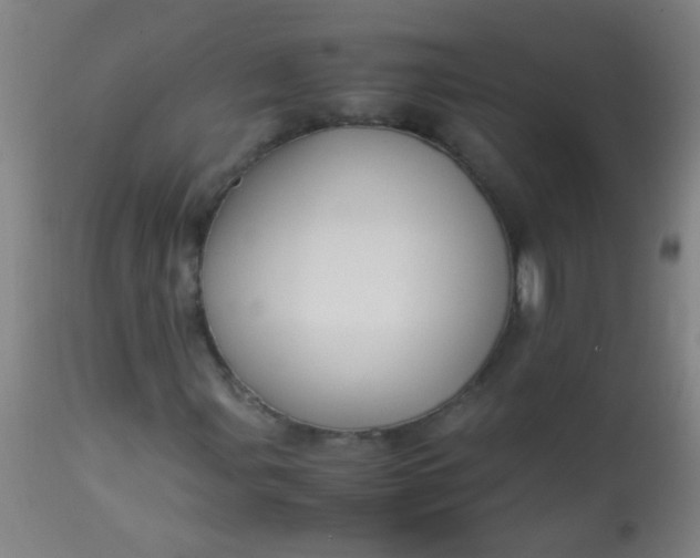 X0000114171107200910221644