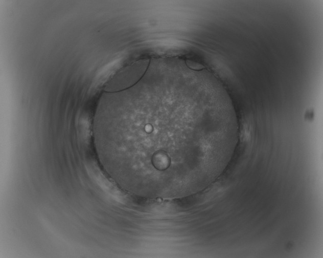 X0000114171108200910221644