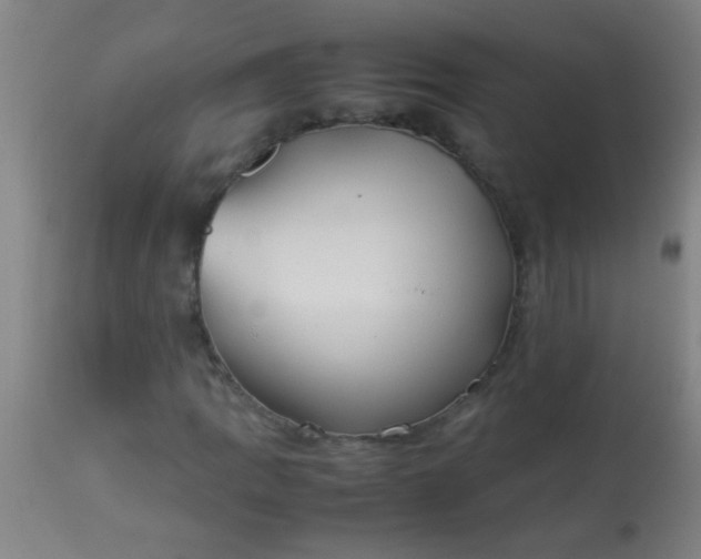 X0000114171109200910221644