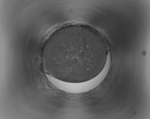 X0000114171110200910221644