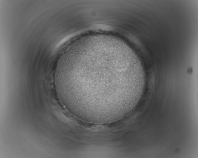 X0000114171112200910221644