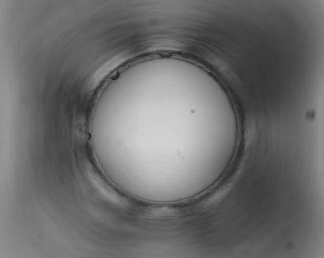 X0000114171113200910221644