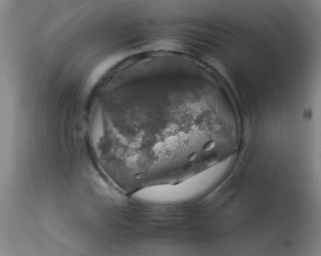 X0000114171115200910221644