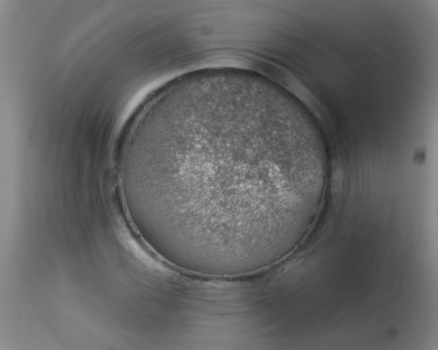 X0000114171116200910221644