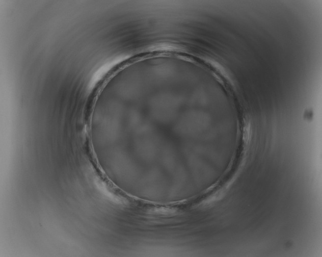 X0000114171117200910221644