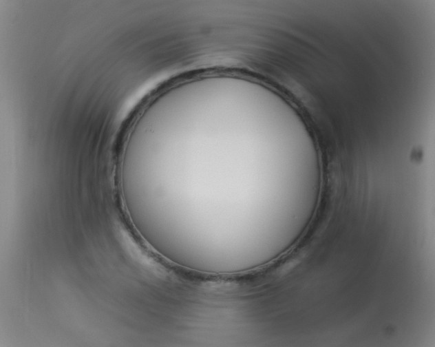 X0000114171118200910221644