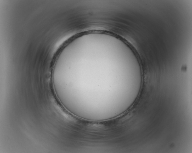 X0000114171119200910221644