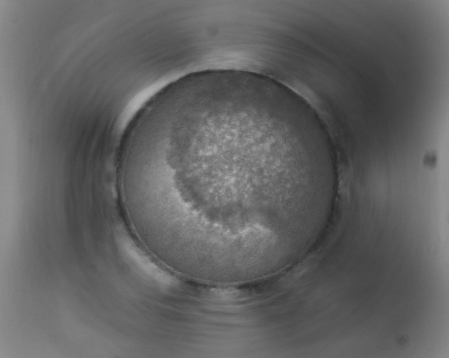 X0000114171120200910221644