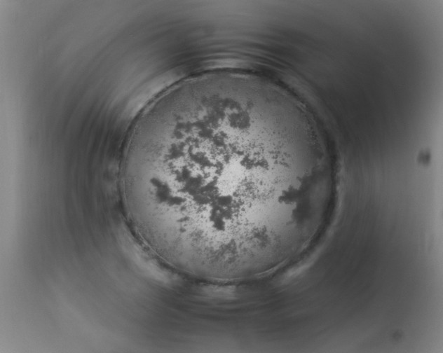 X0000114171121200910221644