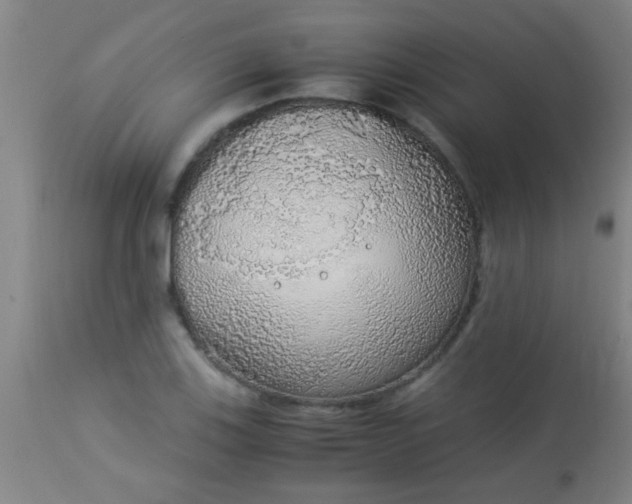 X0000114171123200910221644