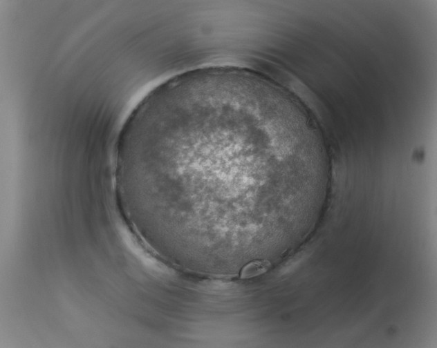 X0000114171124200910221644