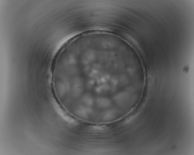 X0000114171125200910221644