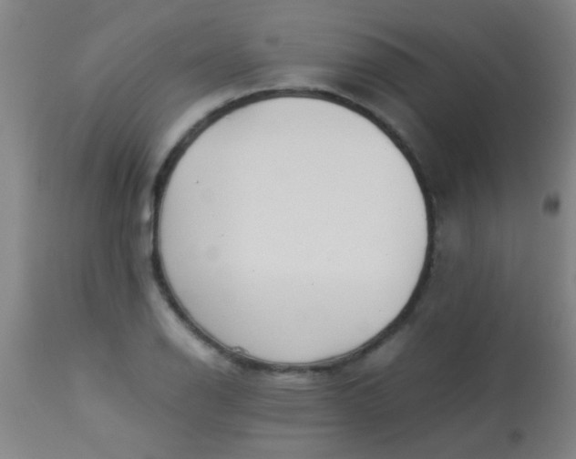 X0000114171126200910221644