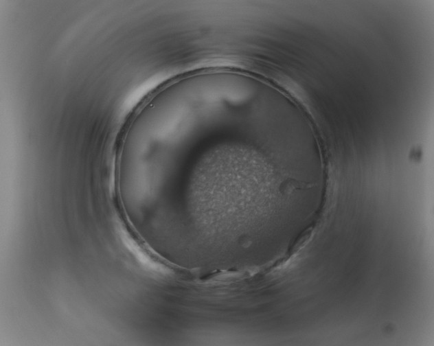 X0000114171127200910221644