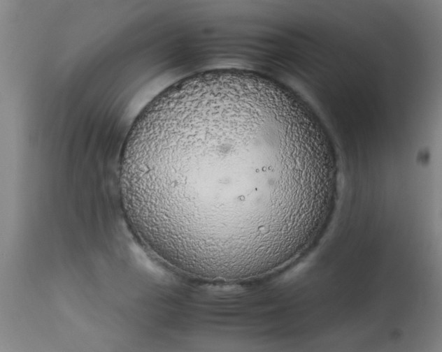 X0000114171129200910221644