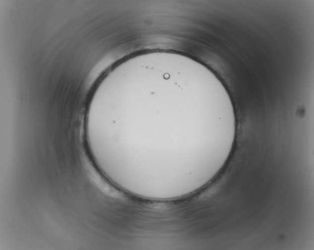 X0000114171130200910221644