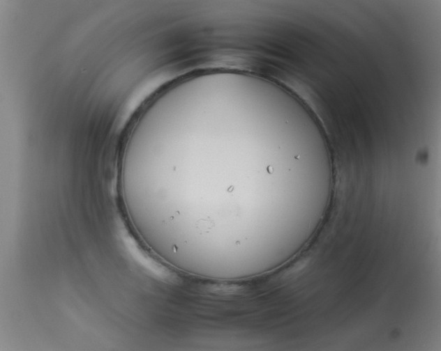 X0000114171131200910221645