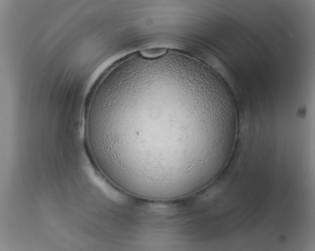 X0000114171132200910221645