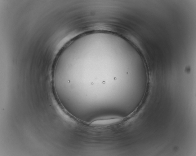 X0000114171133200910221645