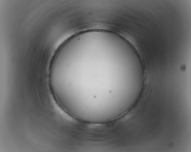 X0000114171135200910221645