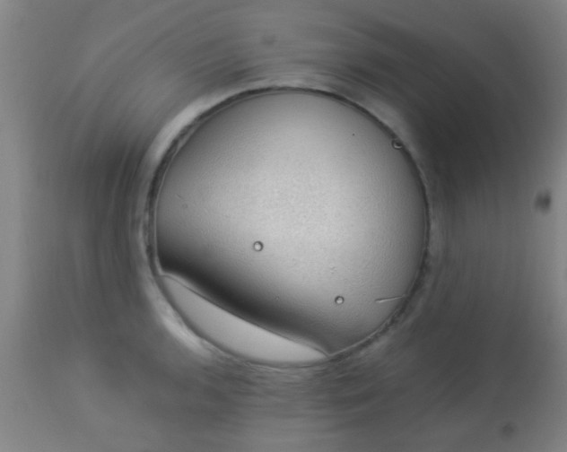 X0000114171136200910221645