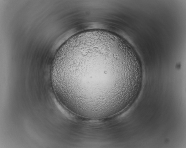 X0000114171137200910221645