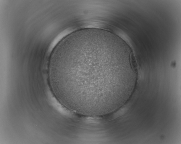 X0000114171138200910221645