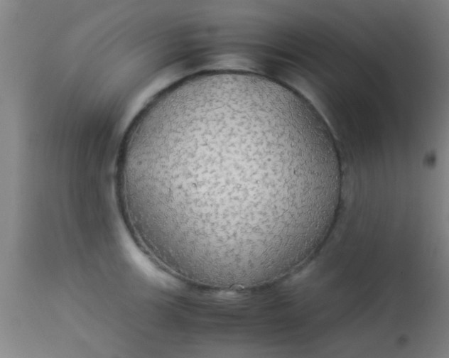 X0000114171139200910221645